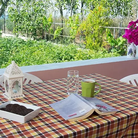 Ferienhaus Olea Beach House